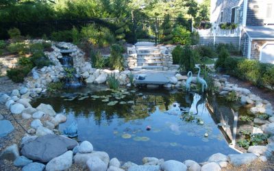 Custom Pond Design & Construction | Springfield, MA