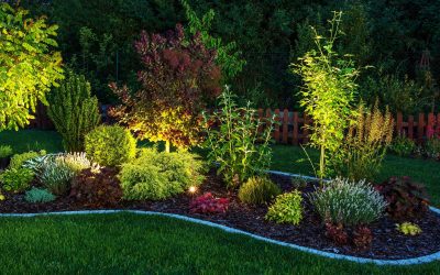 Northampton, MA | Landscape Lighting Installation | Outdoor Lighting