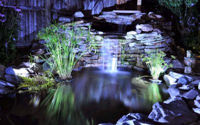 Custom Ponds, Waterfalls, Water Features | Chicopee, MA