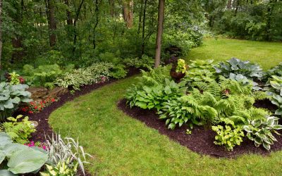 Tree, Shrub, and Flower Plantings Services | Chicopee, MA