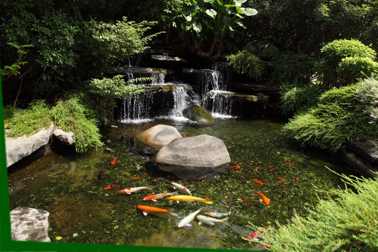 Outdoor Ponds & Water Features |  by Environmental Design and Landscaping